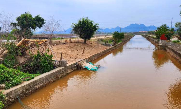 Gói thầu Thi công xây dựng công trình thuộc Dự án Nâng cấp hệ thống kênh tiêu Thành Hồ, xã Yên Thái, huyện Yên Mô, tỉnh Ninh Bình có 2 nhà thầu tham dự. Ảnh minh họa: Minh Thiên