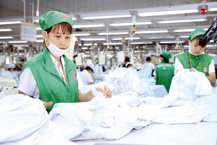 Thị trường lao động phục hồi rất nhanh, doanh nghiệp quay trở lại hoạt động hết công suất. Ảnh: Lê Tiên