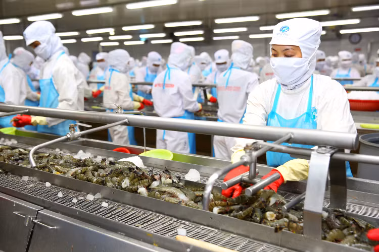 Doanh nghiệp xuất khẩu phải xanh hóa sản xuất để đáp ứng tiêu chuẩn ngày càng cao của các thị trường lớn. Ảnh: Lê Tiên