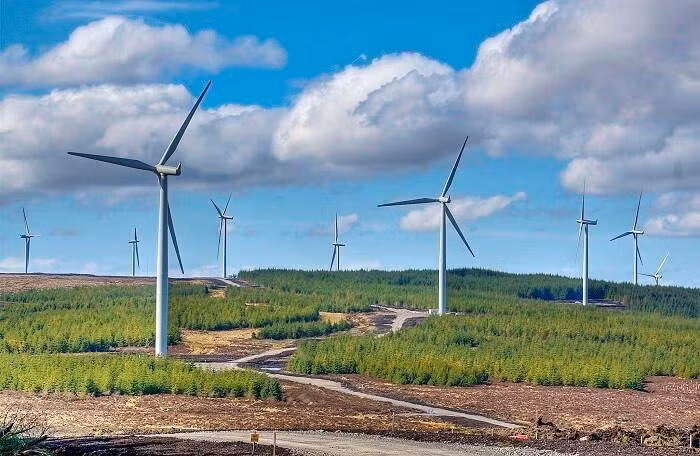 Ảnh minh họa: Internet