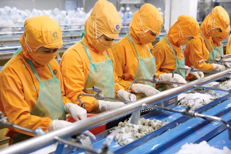 Tổng kim ngạch xuất khẩu 6 tháng đầu năm ước đạt 189,5 tỷ USD, tăng 14,2% so với cùng kỳ năm 2023. Ảnh: Lê Tiên