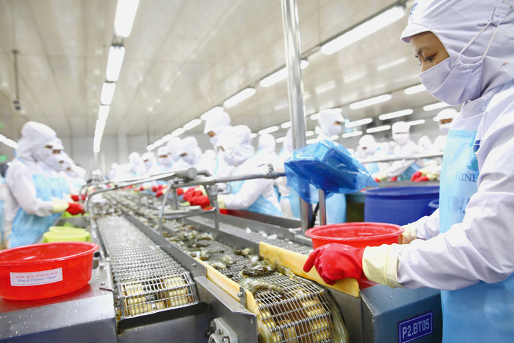 Nhiều loại hàng hóa của Việt Nam gặt hái thành công khi xuất khẩu sang thị trường Trung Quốc. Ảnh: Lê Tiên