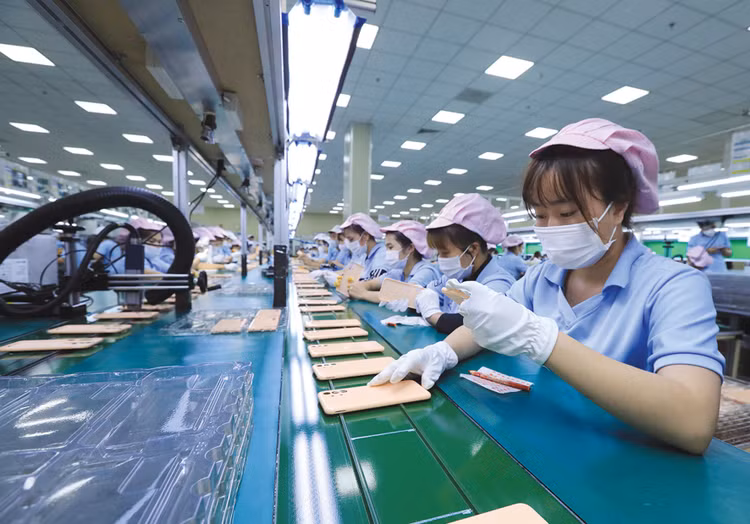 Một số tổ chức nghiên cứu giữ nguyên quan điểm tích cực về triển vọng phục hồi của doanh nghiệp và nền kinh tế Việt Nam. Ảnh: Nhã Chi