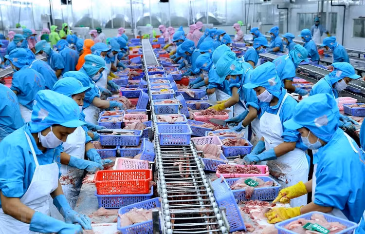 Ảnh minh họa: Internet