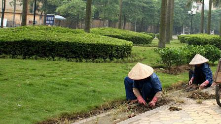 Công ty CP Tư vấn đầu tư xây dựng Hà Thành vừa trúng 3 gói thầu cung cấp dịch vụ công ích trên địa bàn TP. Hà Nội. Ảnh minh họa