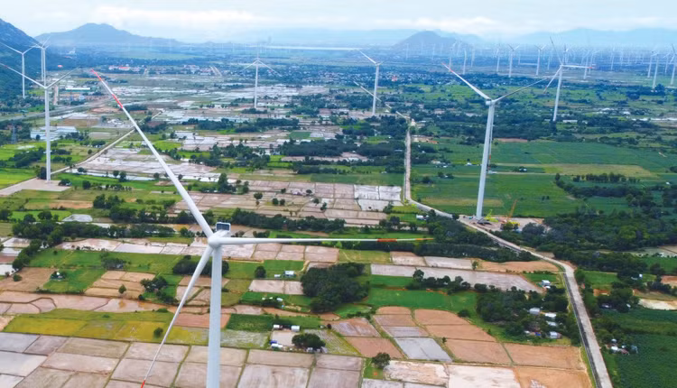 Quy hoạch điện VIII điều chỉnh đặt mục tiêu đến năm 2030, nguồn điện gió trên bờ và gần bờ đạt khoảng 26.066 - 38.029 MW. Ảnh: Nguyễn Cường