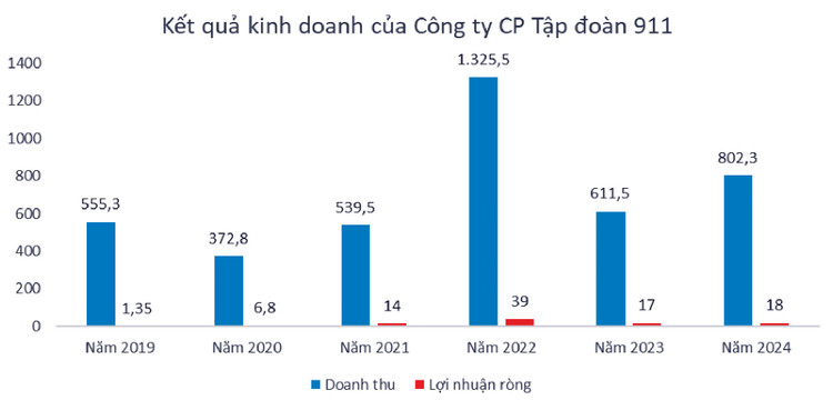 Nguồn: Báo cáo tài chính kiểm toán của Tập đoàn 911. Đơn vị tính: tỷ đồng