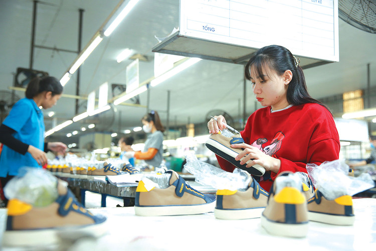 Theo kết quả khảo sát PCI 2024, 33% số DN tư nhân dự định mở rộng sản xuất kinh doanh trong 2 năm tới. Ảnh: Lê Tiên