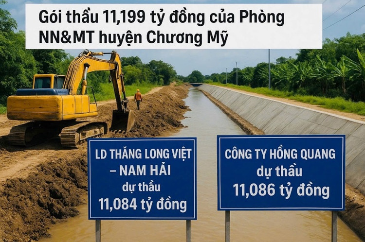 Ảnh minh họa: Anh Đức
