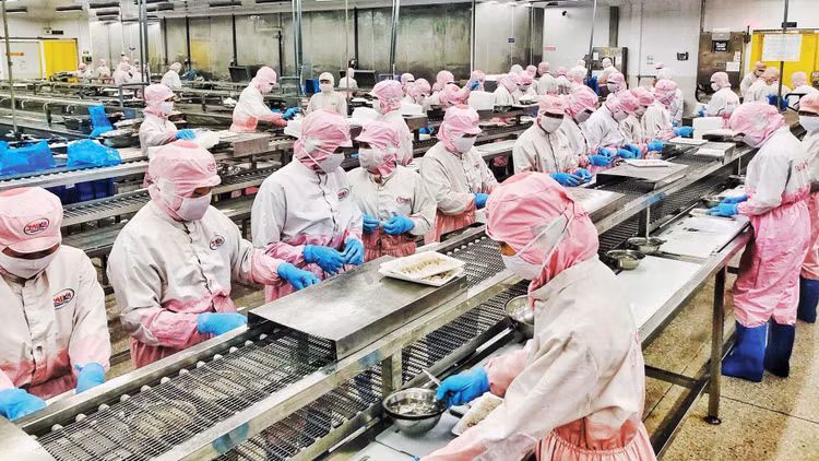 Năm 2021, Việt Nam xuất khẩu sang Nga khoảng 550 triệu USD các mặt hàng nông lâm thủy sản. Ảnh: Nhã Chi