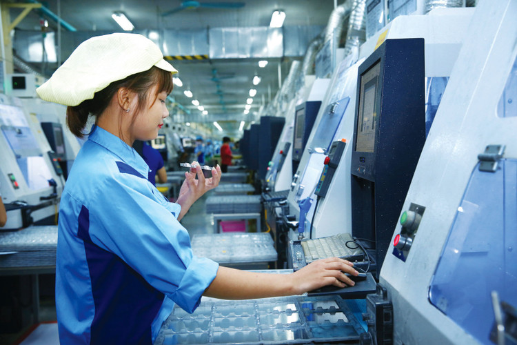 Việt Nam cần tận dụng tốt cơ hội từ các hiệp định thương mại tự do, thu hút dòng vốn đầu tư dịch chuyển để vượt lên, phát triển mạnh mẽ. Ảnh: Lê Tiên