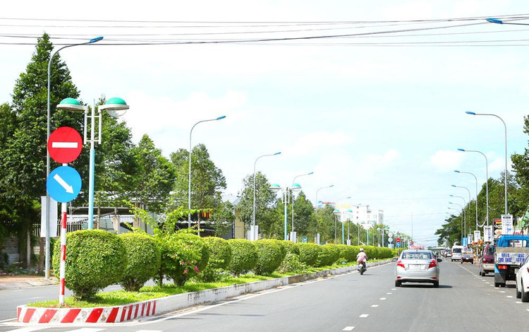 Phạm vi công việc tại 2 gói thầu duy tu cây xanh tại quận Bình Thủy (TP. Cần Thơ) bao gồm trồng, chăm sóc và bảo dưỡng cây xanh. Ảnh: Tiên Giang