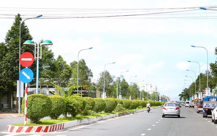 Phạm vi công việc tại 2 gói thầu duy tu cây xanh tại quận Bình Thủy (TP. Cần Thơ) bao gồm trồng, chăm sóc và bảo dưỡng cây xanh. Ảnh: Tiên Giang