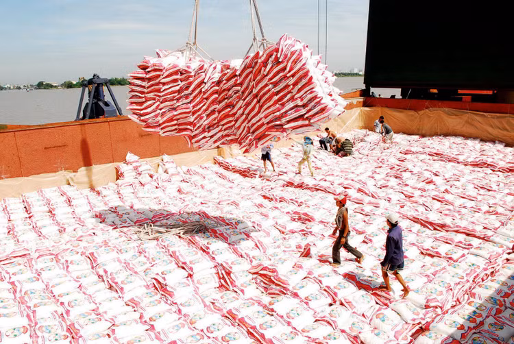 Nhiều doanh nghiệp xuất khẩu gạo của Việt Nam được hưởng lợi từ EVFTA. Ảnh: Song Lê