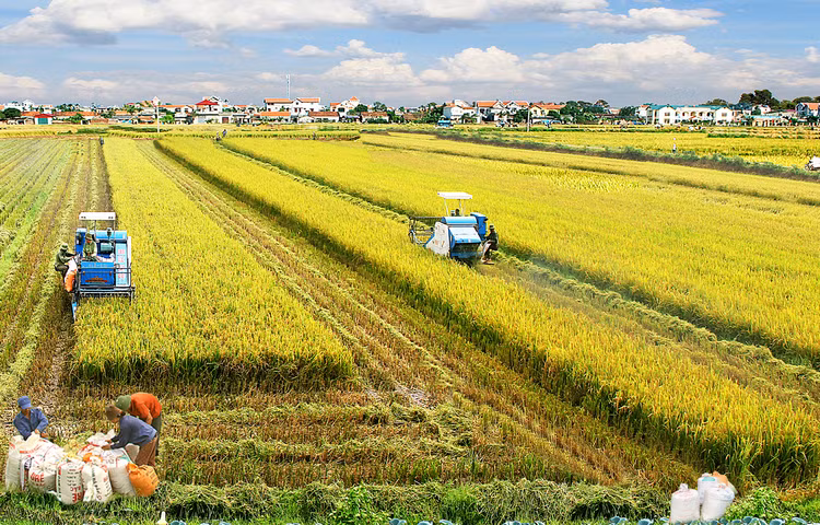 Ảnh minh họa: Internet