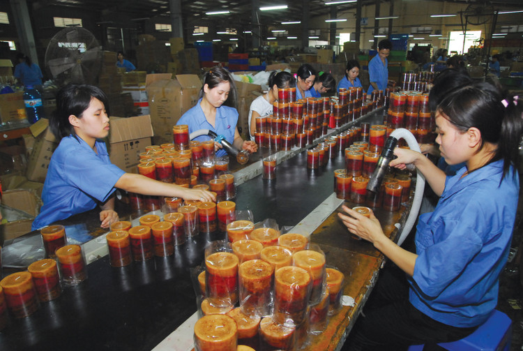 Khu vực kinh tế tư nhân với phần lớn là doanh nghiệp nhỏ và vừa đóng góp hơn 50% GDP, 30% tổng thu ngân sách nhà nước, tạo ra hơn 40 triệu việc làm. Ảnh: Tiên Giang