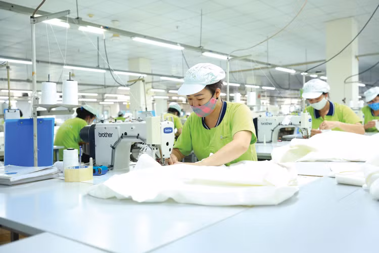 Hỗ trợ tiếp cận các chính sách ưu đãi và ứng phó với những rủi ro từ bên ngoài là yếu tố quan trọng để nuôi dưỡng doanh nghiệp, góp phần thúc đẩy tăng trưởng kinh tế. Ảnh: Lê Tiên