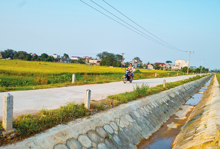Từ ngày 1/8/2023 đến nay, Hệ thống e-GP mới ghi nhận 27 gói thầu sử dụng nguồn vốn Ngân hàng Thế giới được phát hành hồ sơ mời thầu. Ảnh: Nhã Chi