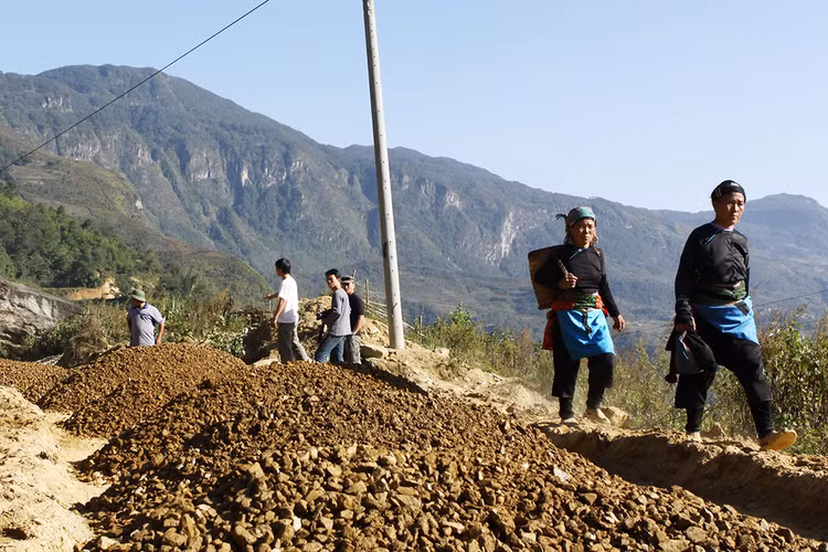 Trong năm 2022, Công ty TNHH Xây dựng tổng hợp Minh Đức được công khai trúng 5 gói thầu với tổng giá trị 229,118 tỷ đồng. Ảnh minh họa: Nhã Chi