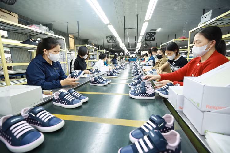 Số lượng các vụ việc điều tra phòng vệ thương mại đối với hàng xuất khẩu Việt Nam có sự gia tăng trong năm 2024. Ảnh: Nhã Chi