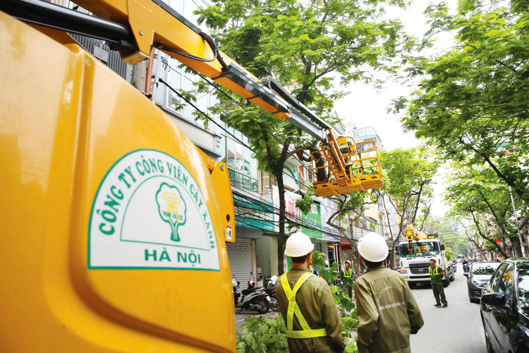 Doanh nghiệp thực hiện cổ phần hóa, thoái vốn, cơ cấu lại giai đoạn này hầu hết là doanh nghiệp lớn, có tình hình tài chính phức tạp, sở hữu nhiều đất đai hoặc hoạt động trong lĩnh vực công ích. Ảnh: Lê Tiên