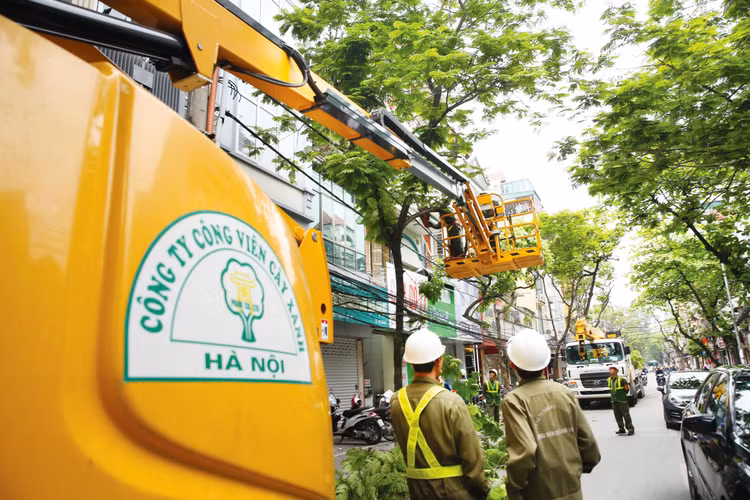 Doanh nghiệp thực hiện cổ phần hóa, thoái vốn, cơ cấu lại giai đoạn này hầu hết là doanh nghiệp lớn, có tình hình tài chính phức tạp, sở hữu nhiều đất đai hoặc hoạt động trong lĩnh vực công ích. Ảnh: Lê Tiên