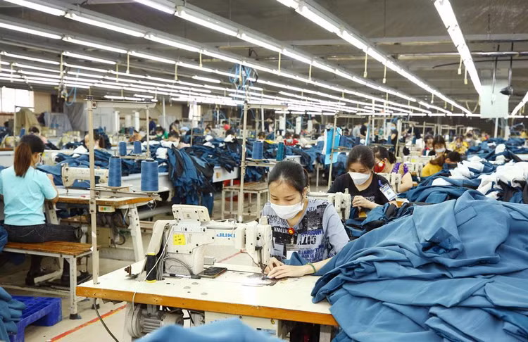 Sau 2 năm thực thi Hiệp định Thương mại tự do Việt Nam - EU, nhiều doanh nghiệp vẫn chưa được hưởng ưu đãi thuế quan. Ảnh: Tiên Giang