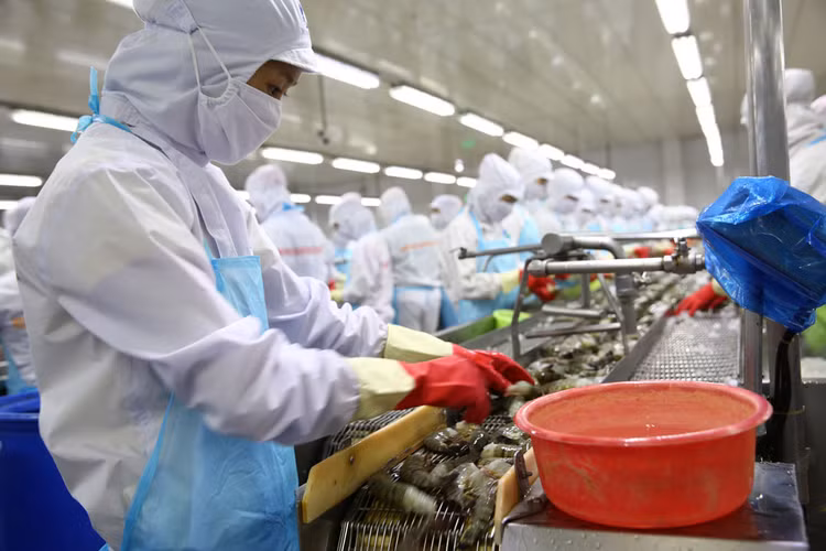 Thủy sản là một trong những lĩnh vực có số lượng doanh nghiệp đăng ký thành lập mới trong 10 tháng tăng mạnh. Ảnh: Lê Tiên