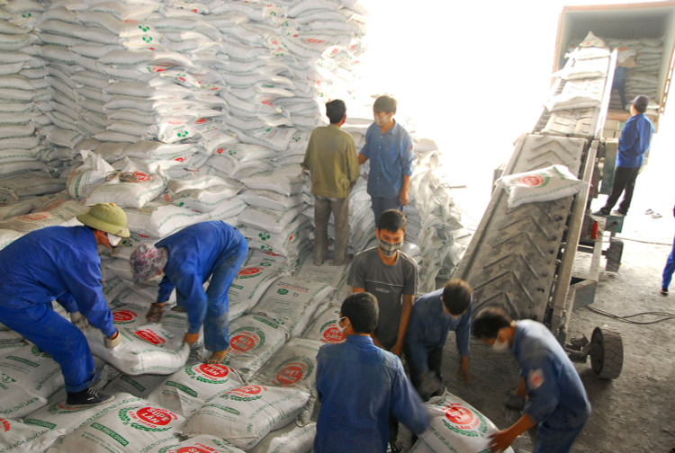 Trung tâm Dịch vụ miền núi tỉnh Bình Thuận mua 100 tấn phân bón NPK nhưng chỉ có thể tiếp nhận mỗi lần 10 tấn. Ảnh minh họa: Nhã Chi