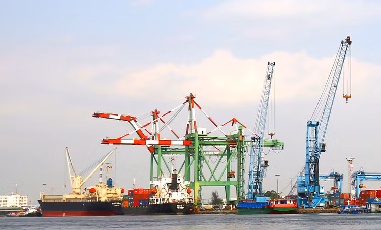 Các doanh nghiệp cảng biển được đánh giá còn nhiều dư địa tăng trưởng trong dài hạn. Ảnh: Tiên Giang