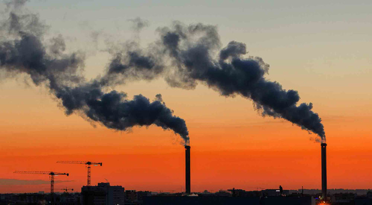 Ảnh chỉ mang tính minh họa: Internet