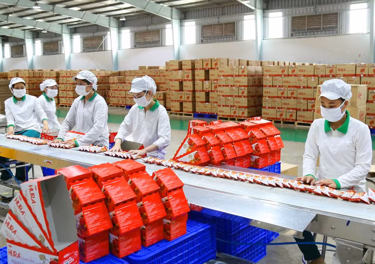 Số doanh nghiệp quay trở lại hoạt động phục hồi ấn tượng với 31.000 doanh nghiệp, cao gấp 2 lần mức bình quân 4 tháng đầu năm giai đoạn 2017 - 2021. Ảnh: Song Lê