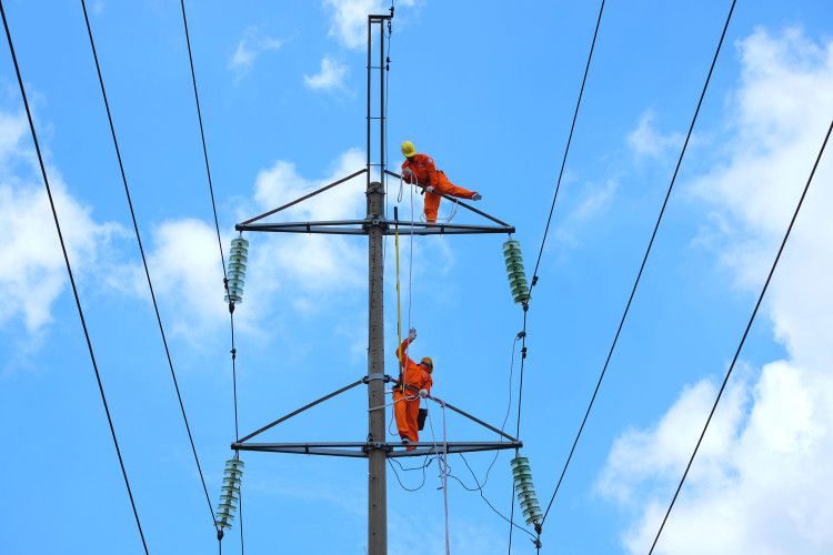 Khối lượng công việc còn lại (khoảng 25 tỷ đồng) của Gói thầu CPC-TienPhuoc-W02 Thi công xây dựng công trình đường dây 110kV Tam Kỳ 220kV - Tiên Phước sắp được mời thầu. Ảnh minh họa: Nhã Chi