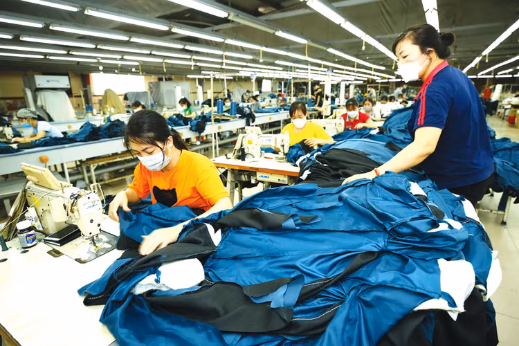 Nhiều doanh nghiệp dệt may giảm cả đơn hàng và đơn giá gia công. Ảnh: Lê Tiên