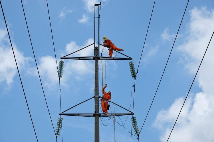 Gói thầu Tư vấn giám sát các công trình xây dựng và cải tạo lưới điện tỉnh Bắc Giang bổ sung năm 2021 - Lô 2 do Công ty Điện lực Bắc Giang làm chủ đầu tư. Ảnh minh họa: Thế Anh