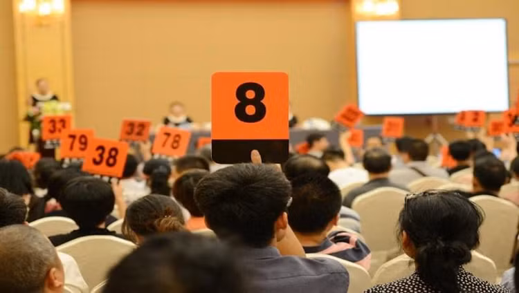 Chế tài cần nghiêm khắc hơn với các doanh nghiệp "bỏ cọc" như bổ sung mức tiền phạt, cấm trong 5 năm không được đấu giá. Ảnh minh họa: Internet