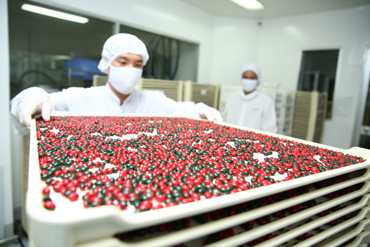 Gói thầu số 1 Gói thầu thuốc generic thuộc Dự toán Mua sắm thuốc tập trung tỉnh Gia Lai giai đoạn 2025 - 2026 do Bệnh viện Đa khoa tỉnh Gia Lai mời thầu. Ảnh minh họa: Lê Tiên