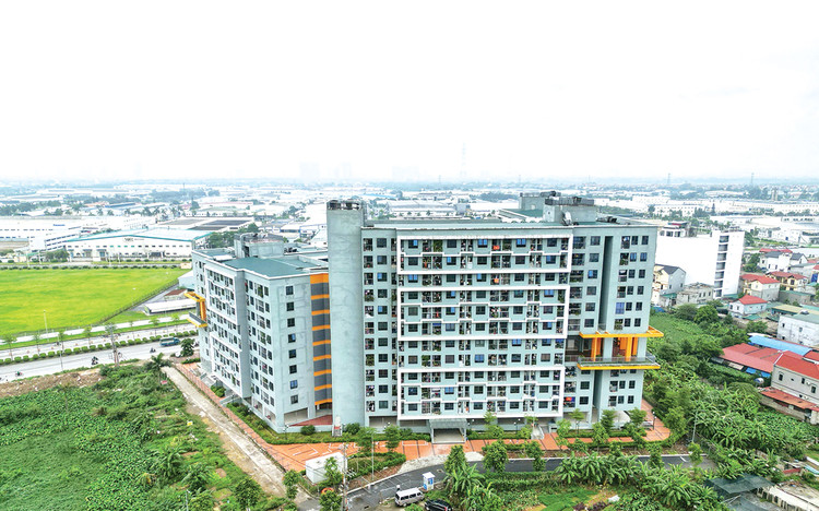 Nếu không phải thực hiện bước lập, thẩm định, phê duyệt nhiệm vụ quy hoạch chi tiết dự án nhà ở xã hội có thể cắt giảm được 55 ngày trong quy trình thủ tục. Ảnh: Nhã Chi