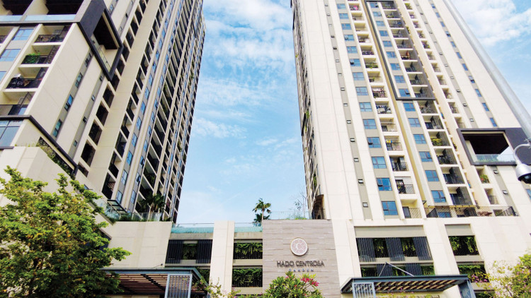 Báo cáo tài chính hợp nhất năm 2024 sau kiểm toán của Công ty CP Tập đoàn Hà Đô ghi nhận 447,2 tỷ đồng lợi nhuận sau thuế, giảm hơn 300 tỷ đồng so với báo cáo tự lập. Ảnh: Thu Huyền