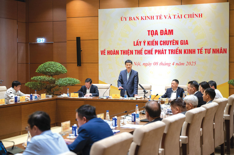 Phó Chủ tịch Quốc hội Vũ Hồng Thanh phát biểu tại Tọa đàm lấy ý kiến chuyên gia về hoàn thiện thể chế phát triển kinh tế tư nhân ngày 8/4/2025. Ảnh: Phạm Thắng