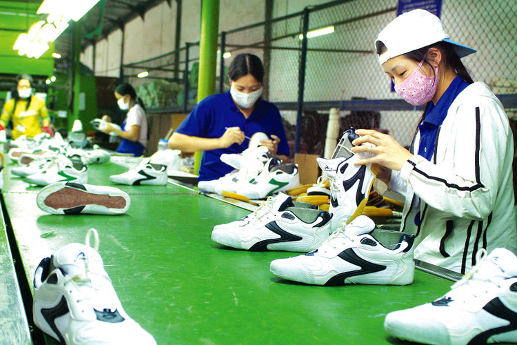 Yêu cầu của các nhà nhập khẩu ngày càng cao hơn, hướng đến
kinh tế tuần hoàn và phát triển bền vững. Ảnh: Lê Tiên