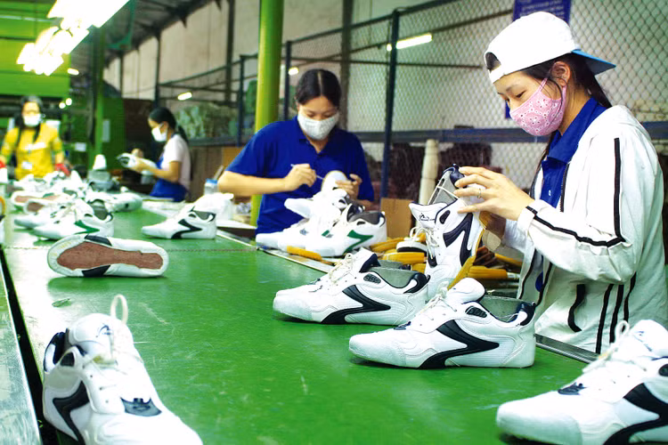 Yêu cầu của các nhà nhập khẩu ngày càng cao hơn, hướng đến
kinh tế tuần hoàn và phát triển bền vững. Ảnh: Lê Tiên