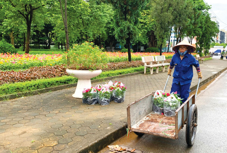 Gói thầu số 02 Duy trì và chăm sóc cây xanh đô thị trên địa bàn TP. Gia Nghĩa (tỉnh Đắk Nông) giai đoạn 2023 - 2024 vẫn chưa có kết quả lựa chọn nhà thầu. Ảnh minh họa: Tiên Giang
