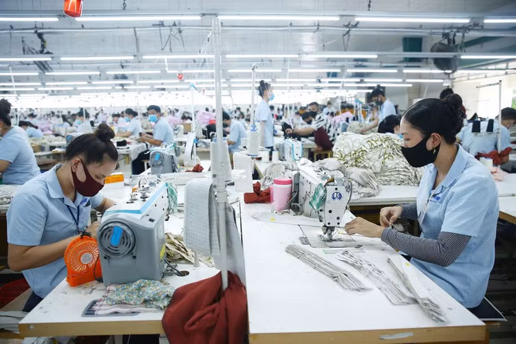 Cần có chiến lược ngắn hạn, trung hạn về việc từng bước mở cửa, linh hoạt chống dịch và phục hồi kinh tế để doanh nghiệp có cơ sở xây dựng kế hoạch hoạt động. Ảnh: Lê Tiên