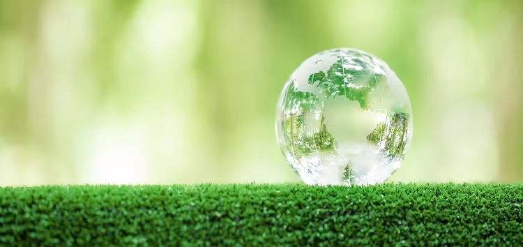 Ảnh minh họa: Internet