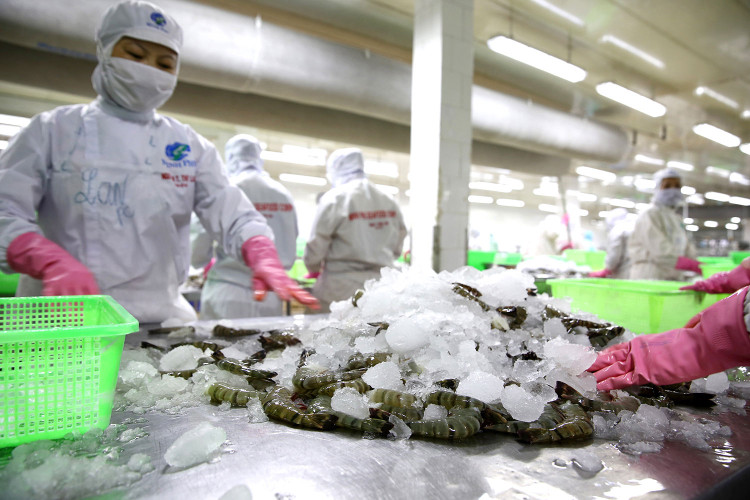 Kim ngạch xuất khẩu nông, thủy sản 5 tháng đầu năm đạt gần 17,7 tỷ USD, tăng 15,8% so với cùng kỳ năm ngoái. Ảnh: Lê Tiên