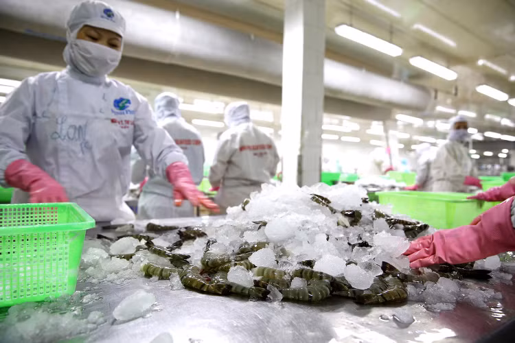 Kim ngạch xuất khẩu nông, thủy sản 5 tháng đầu năm đạt gần 17,7 tỷ USD, tăng 15,8% so với cùng kỳ năm ngoái. Ảnh: Lê Tiên