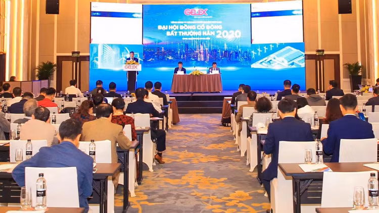 Huy động 3.500 tỷ từ cổ đông, Gelex rót vào đâu?