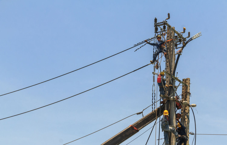 Sau Công ty Điện lực Chương Mỹ, Công ty Điện lực Mê Linh vừa yêu cầu Công ty Đấu giá hợp danh Thành An dừng tổ chức bán đấu giá 2 lô tài sản. Ảnh minh họa: Nhã Chi