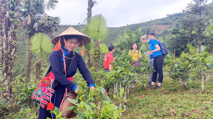 Việc xây dựng hệ thống dữ liệu quản lý chương trình mục tiêu quốc gia nhằm tăng cường công tác giám sát, đánh giá tình hình thực hiện tại các cấp. Ảnh: Phạm Bằng